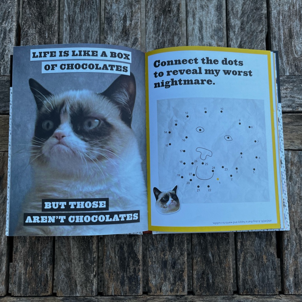 Grumpy cat book - Picture 3 of 3